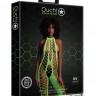 Зеленый кэтсьюит Bodystocking with Halterneck Зеленый кэтсьюит Bodystocking with Halterneck