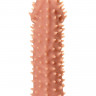 Насадка на фаллос с шипами Extreme Sleeve 007 M-size - 14,7 см.