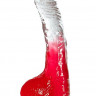 Красный фаллоимитатор с прозрачной верхней частью JELLY JOY FADE OUT DONG 8INCH - 20 см.