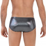 Серебристые трусы-брифы Chakra Latin Brief Серебристые трусы-брифы Chakra Latin Brief