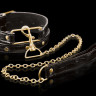 Ошейник с поводком Collar Leash Ошейник с поводком Collar Leash