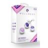 Комплект вагинальных шариков Kegel Training Kit Комплект вагинальных шариков Kegel Training Kit