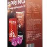 Набор Spring с игральными кубиками