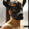 Эффектная маска собаки с металлическими заклепками