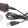 Фиолетовый вибратор Lavish Attention Rechargeable Clitoral   G-Spot Vibrator - 18,4 см.