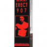 Стимулирующий спрей для мужчин Maxi Erect 907 - 25 мл.