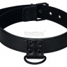 Черный ошейник Bondage Fetish Black Matt Collar With Leash с цепочкой-поводком Черный ошейник Bondage Fetish Black Matt Collar With Leash с цепочкой-поводком