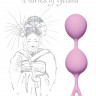 Розовые вагинальные шарики Diaries of a Geisha